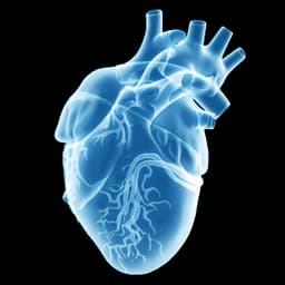 Cardiovascular imaging